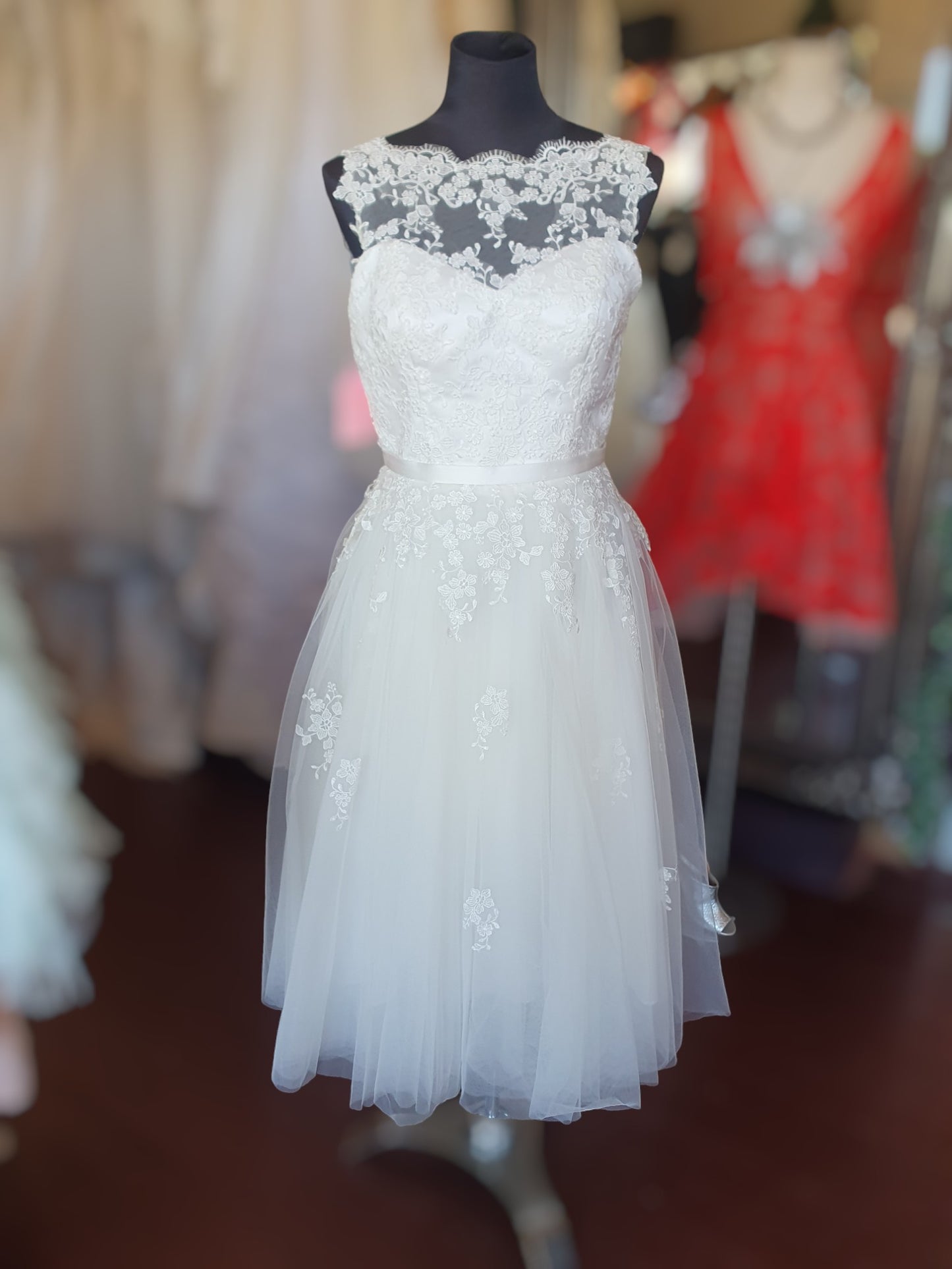 Moonlight Tea Length Dress