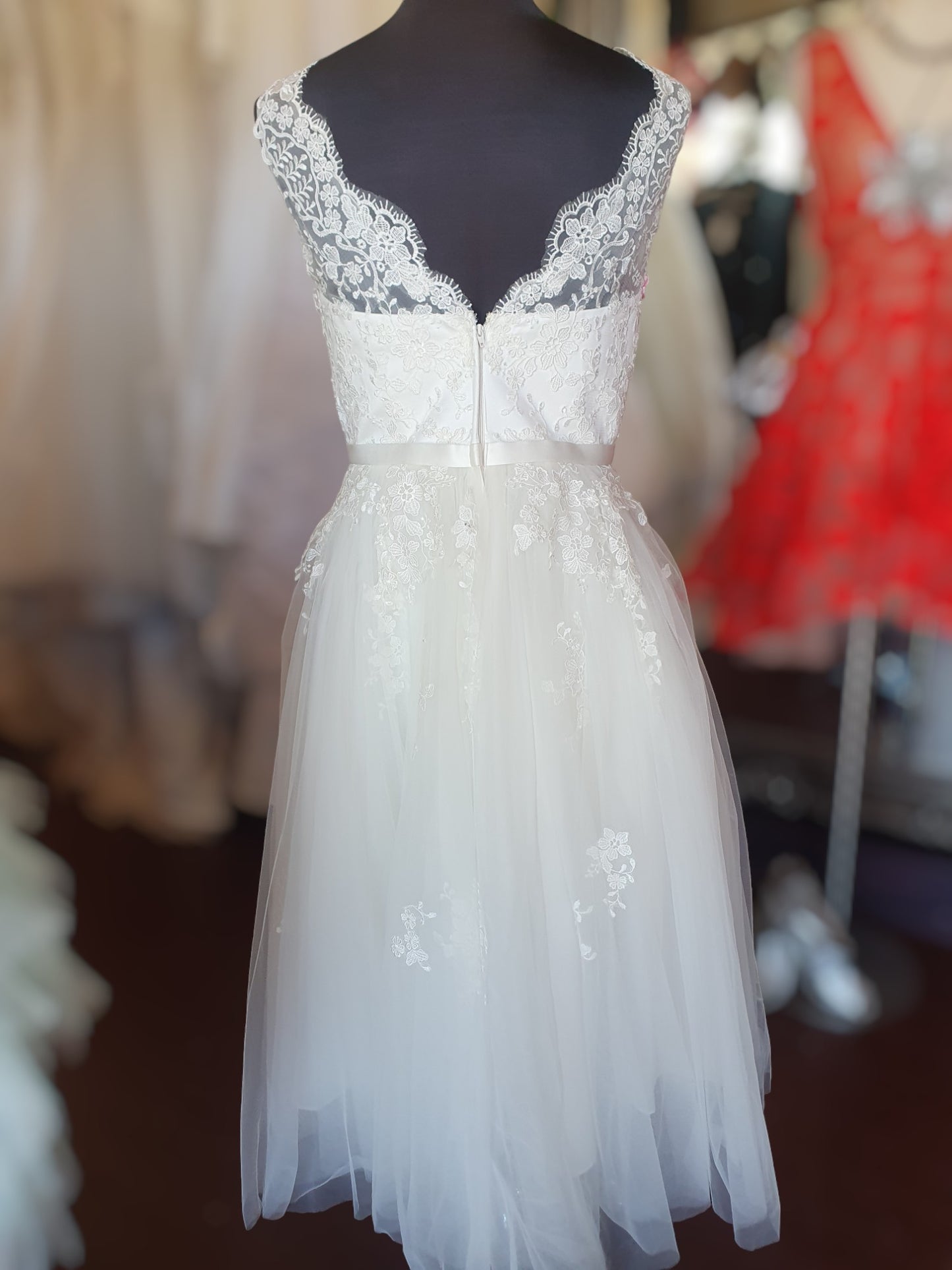 Moonlight Tea Length Dress