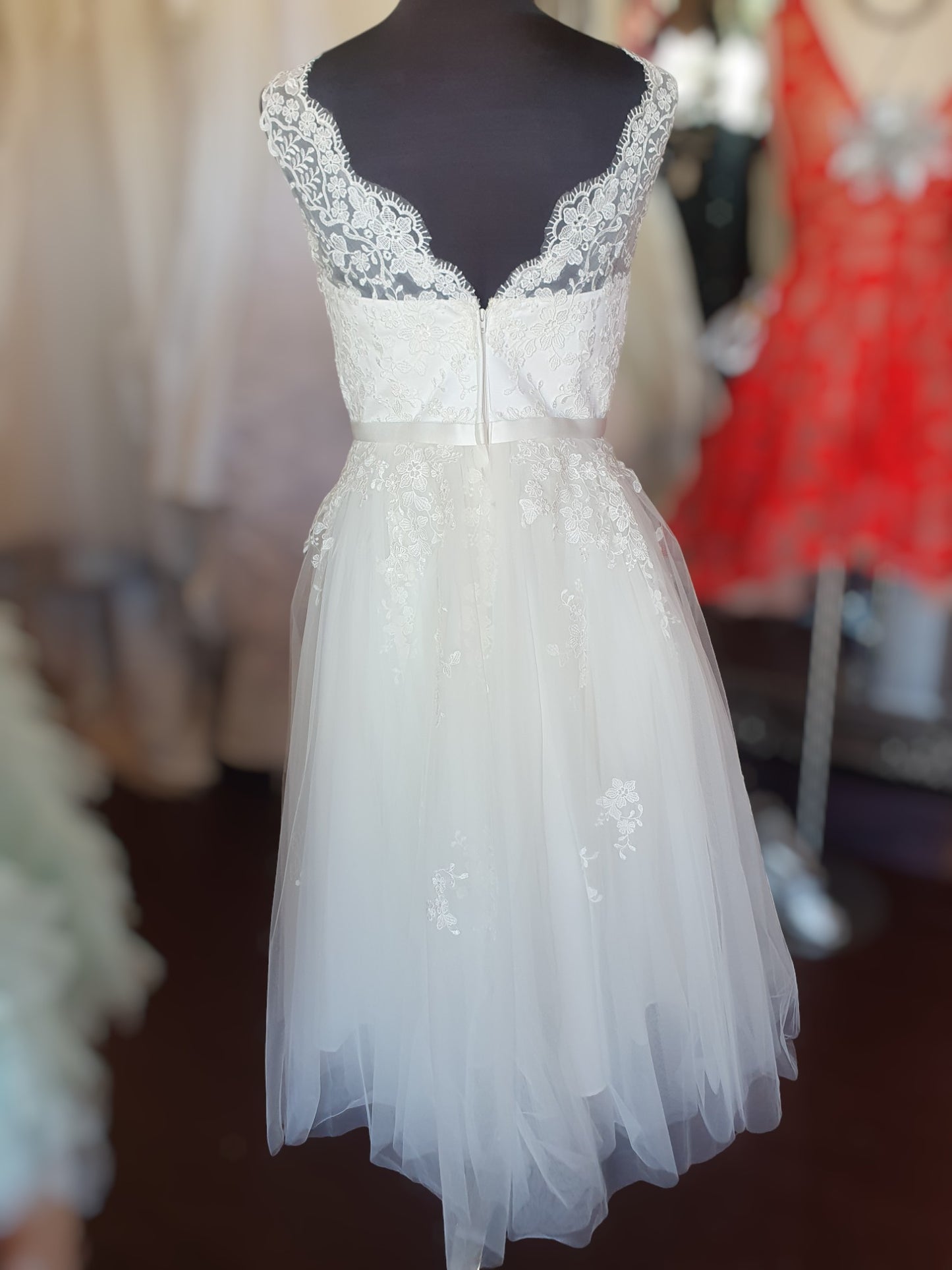Moonlight Tea Length Dress