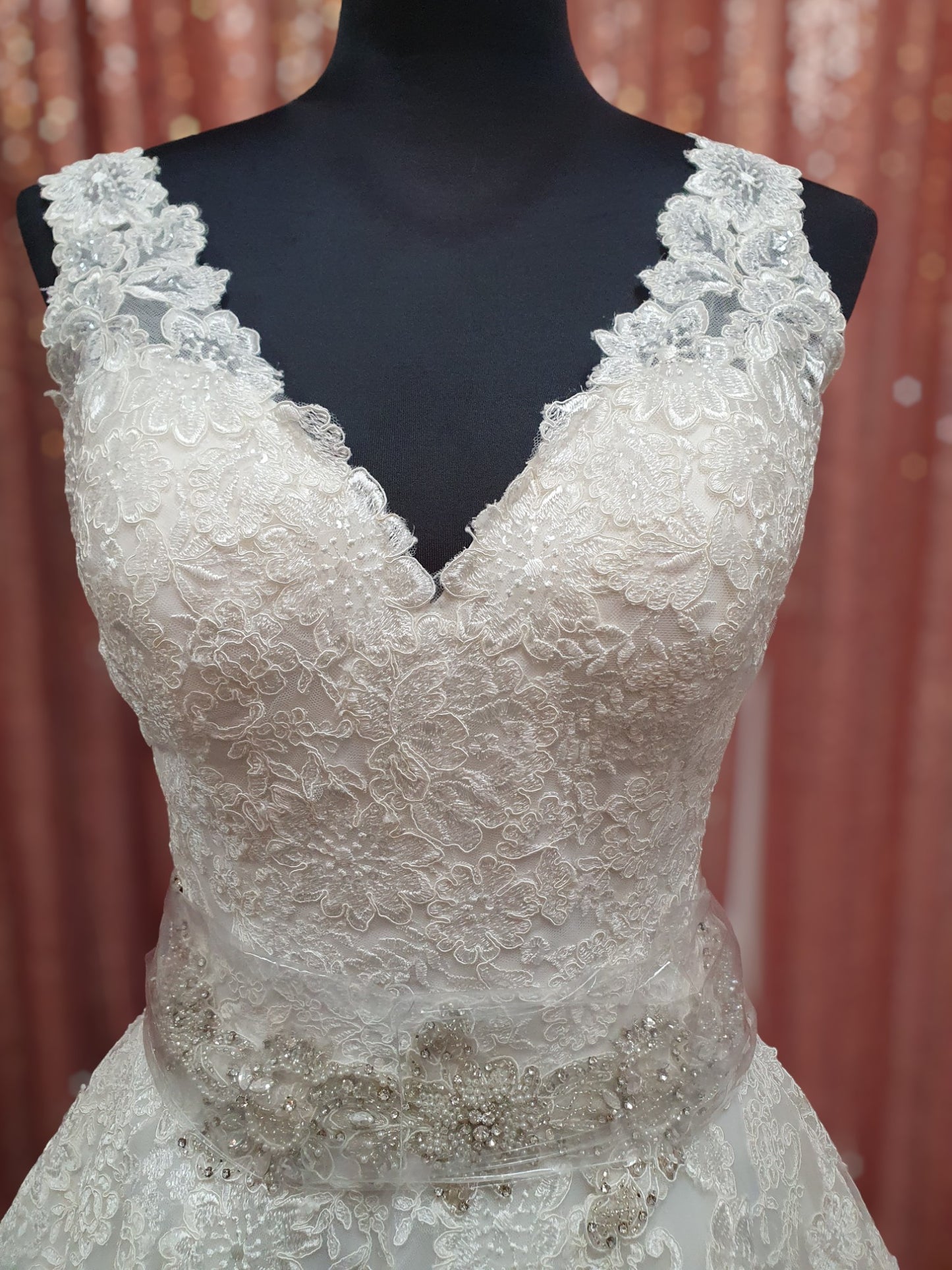 Diane Legrand Size 10 Gown