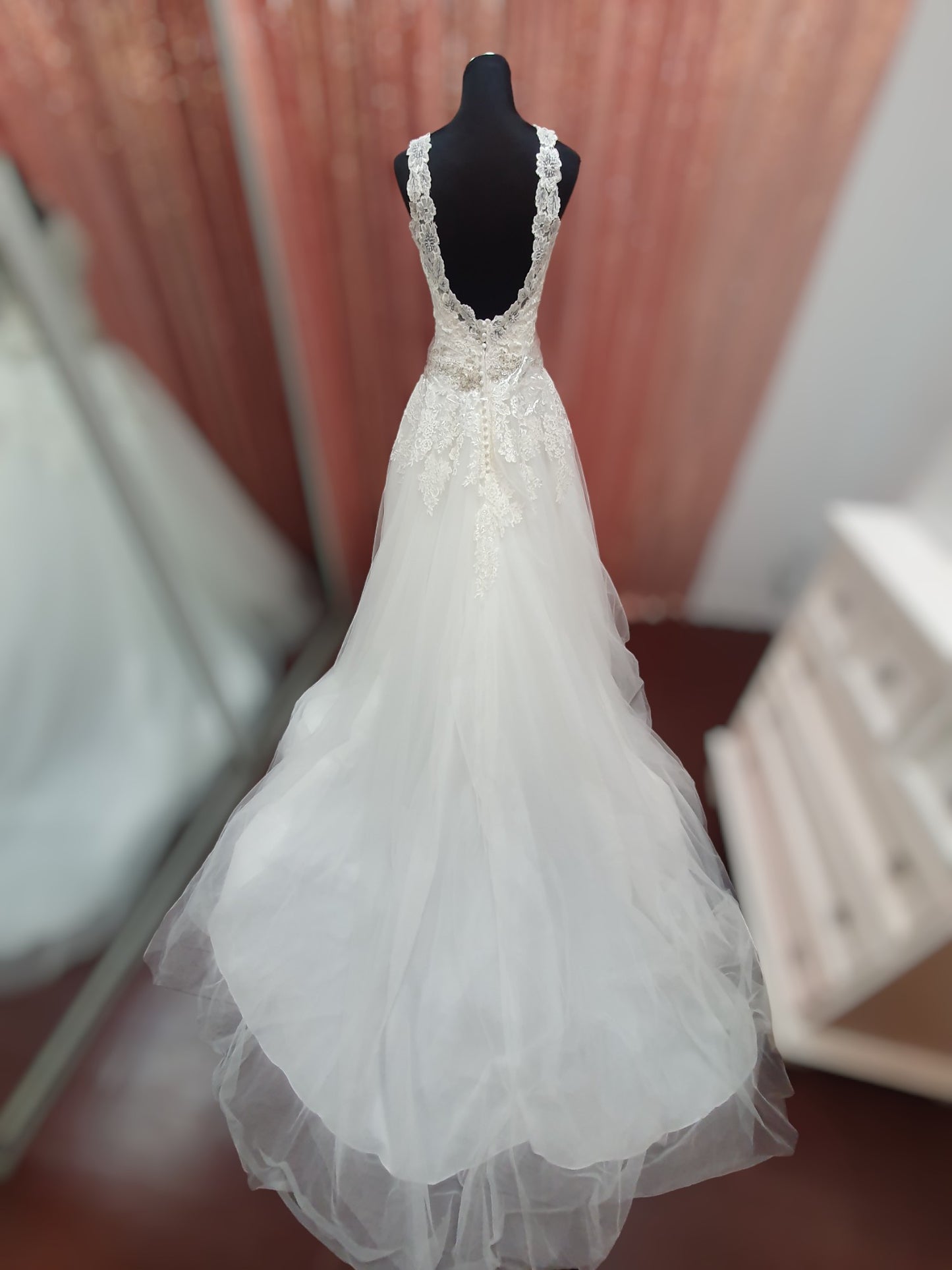 Diane Legrand Size 10 Gown