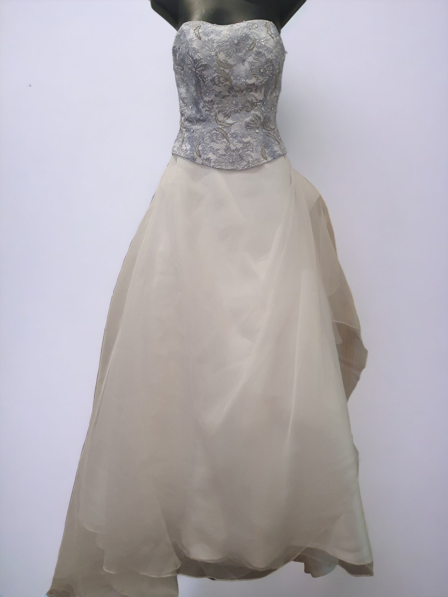 Silver/Blue Wedding Gown with Flower Decal