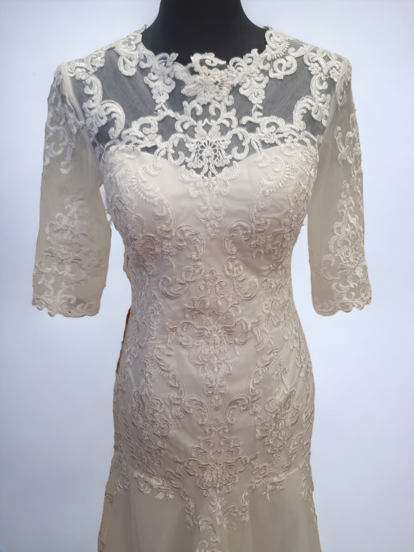 Mingda's Dress Long Sleeve Lace Fit & Flare Gown