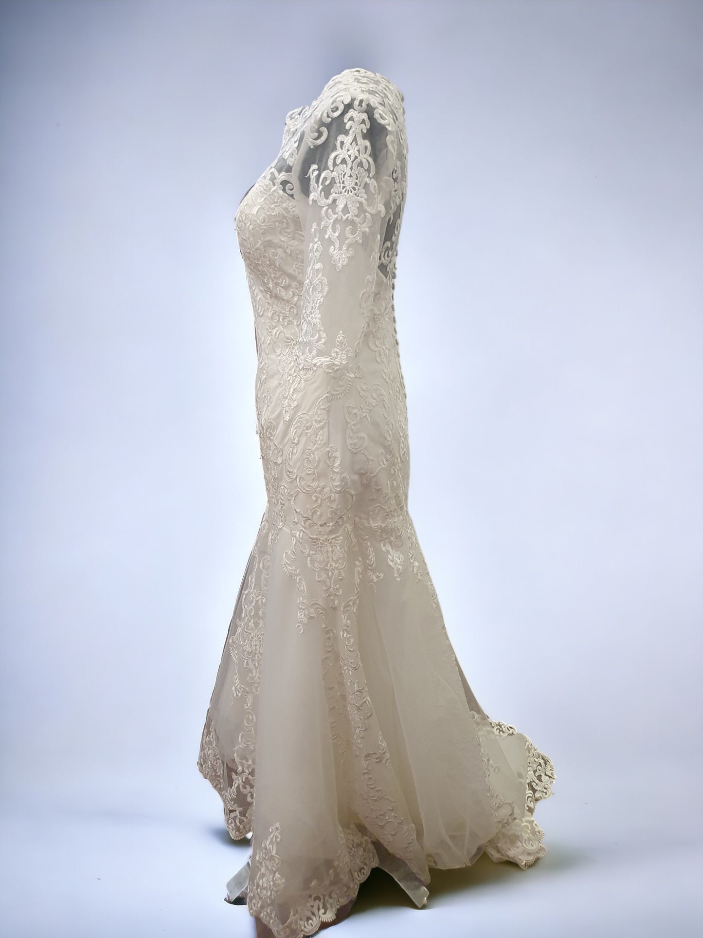 Mingda's Dress Long Sleeve Lace Fit & Flare Gown